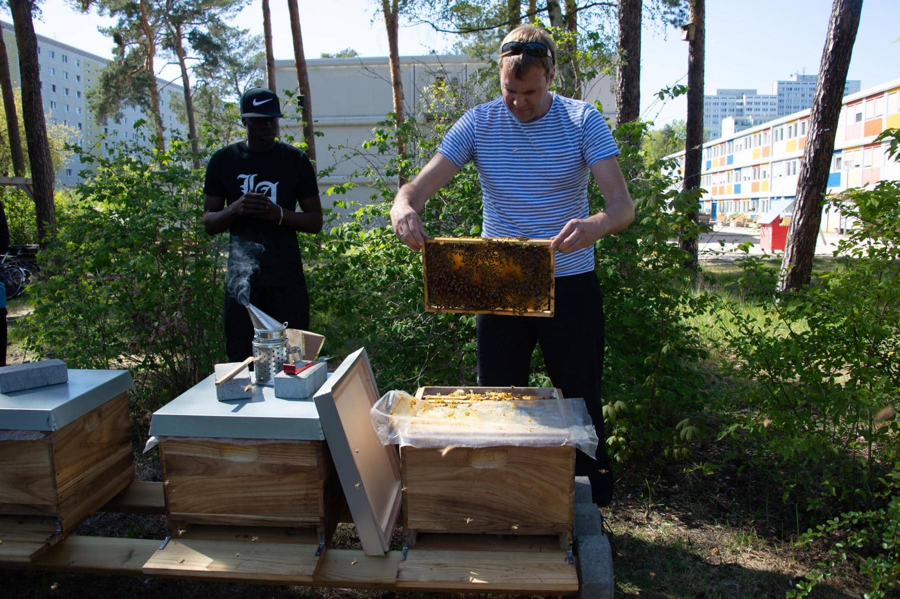 Bienenprojekt - Kleine Imkerei