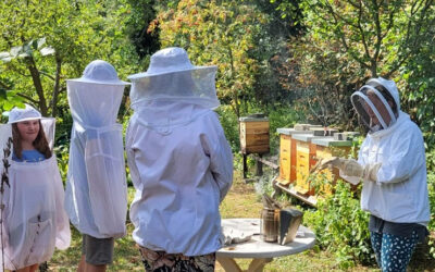 Bienen und wir – „Köpenicker Bienenfreunde“ 2022